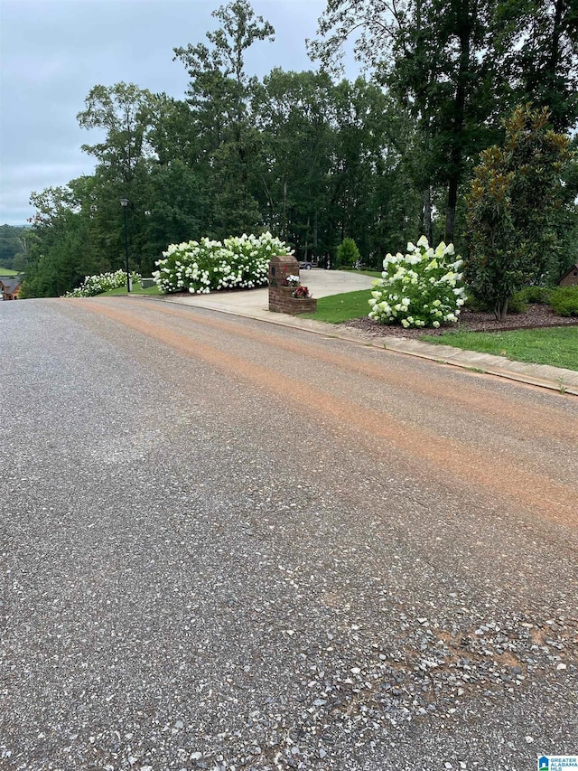 view of road