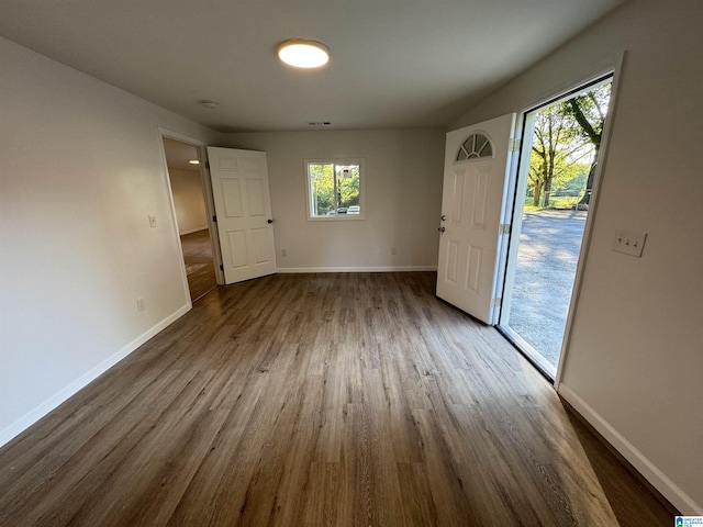 interior space featuring a wealth of natural light and wood-type flooring