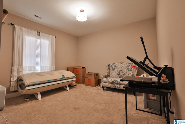 bedroom featuring carpet flooring