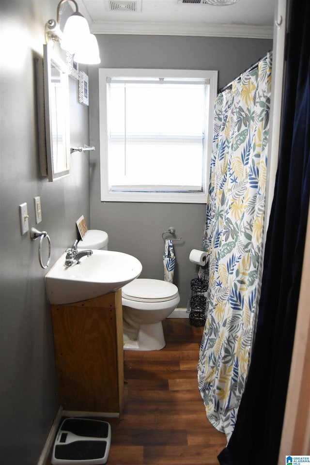 bathroom with vanity, wood-type flooring, ornamental molding, and toilet