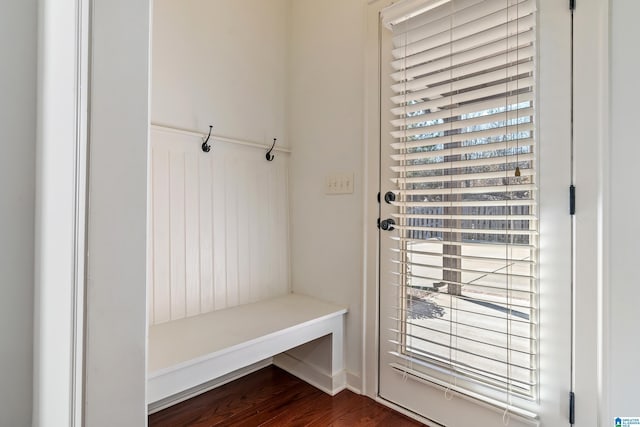 mudroom with dark hardwood / wood-style floors