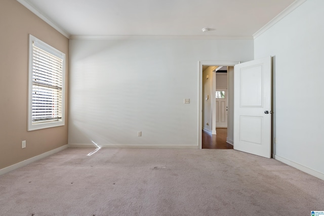 spare room with crown molding and light colored carpet