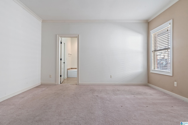 carpeted spare room with crown molding