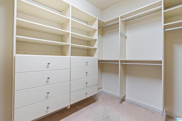 walk in closet featuring light colored carpet