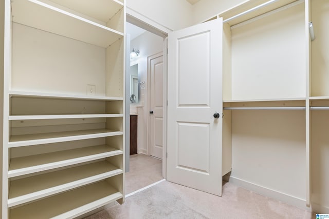 walk in closet with light colored carpet