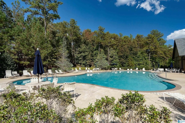 view of pool featuring a patio area