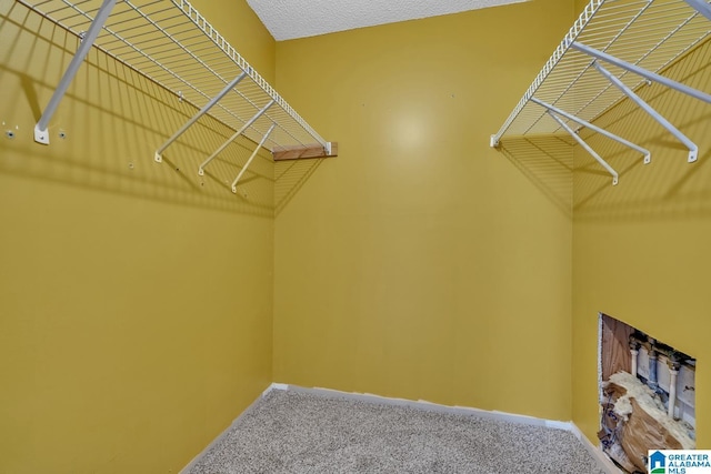 walk in closet featuring carpet