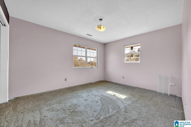 unfurnished room with carpet flooring and a textured ceiling