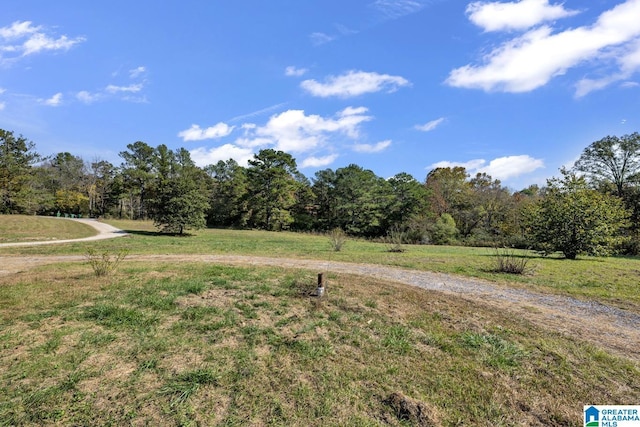 view of yard featuring a rural view