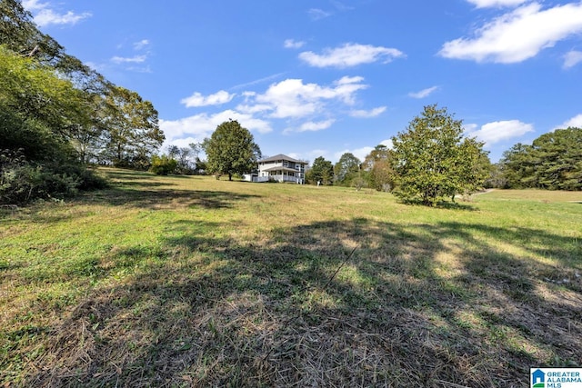 view of yard with a rural view