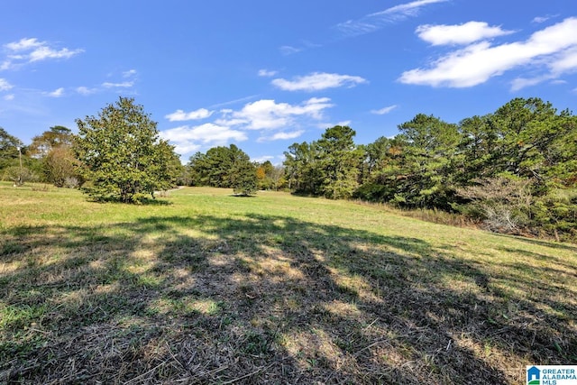 view of yard featuring a rural view