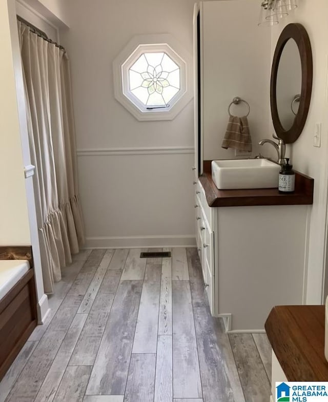 bathroom featuring wood-type flooring and vanity