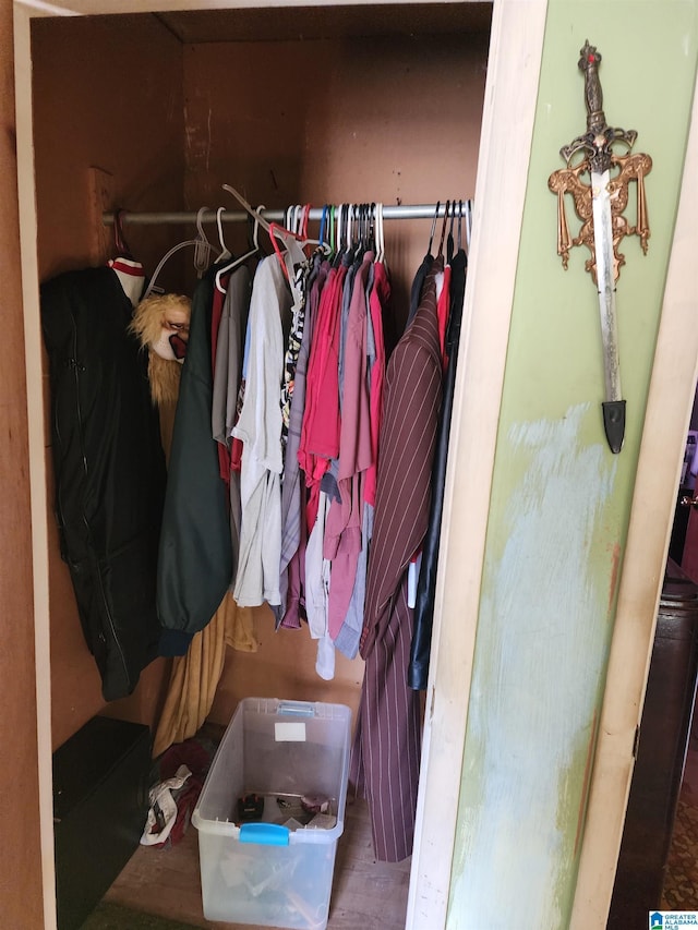 view of closet