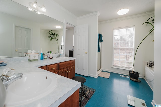 bathroom featuring vanity, crown molding, and walk in shower