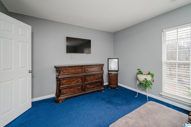 living area featuring dark colored carpet and a textured ceiling