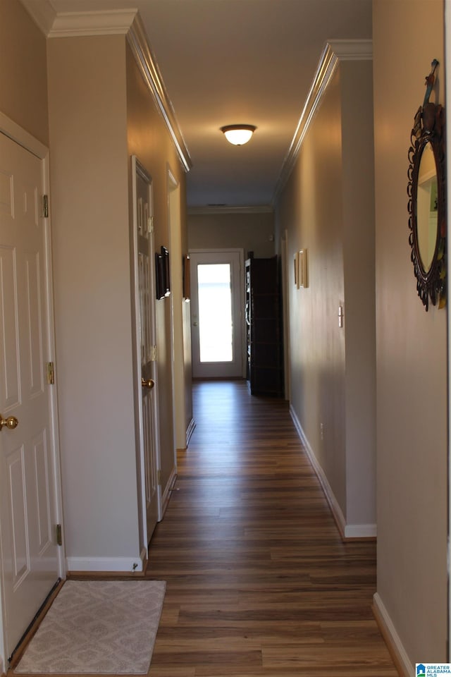 hallway featuring crown molding and dark hardwood / wood-style floors