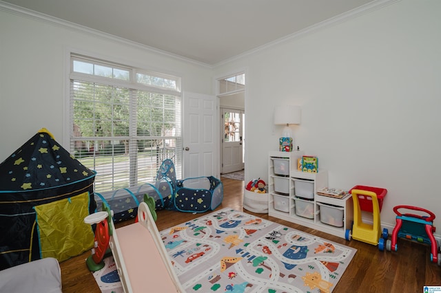 recreation room with dark hardwood / wood-style flooring and crown molding