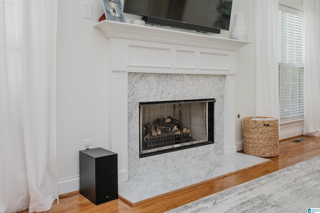 room details with wood-type flooring and a premium fireplace