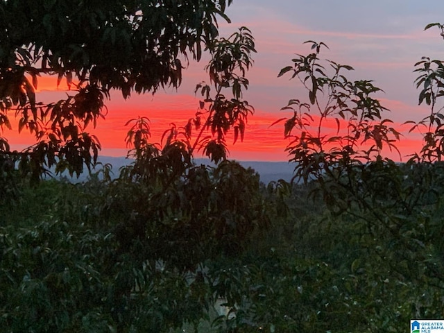 view of nature at dusk