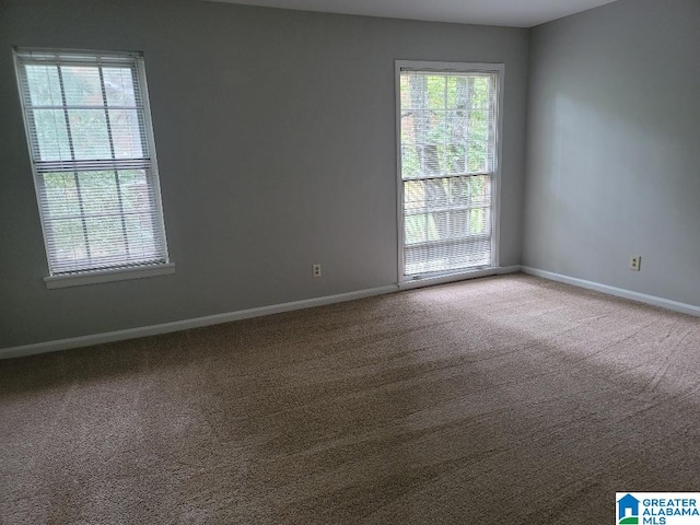 unfurnished room with a healthy amount of sunlight and carpet flooring