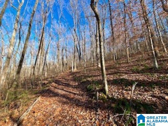 5925 Cahaba Valley Rd Unit 1, Birmingham AL, 35242 land for sale