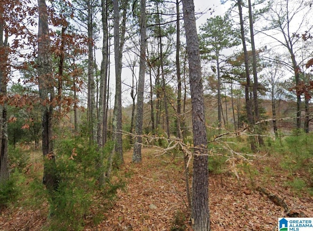 1991 Watts Rd -, Unit Munford AL, 36268 land for sale