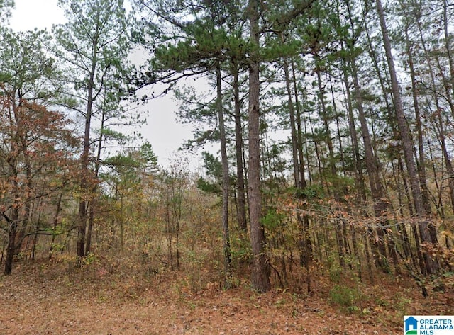 Listing photo 2 for 1991 Watts Rd -, Unit Munford AL 36268