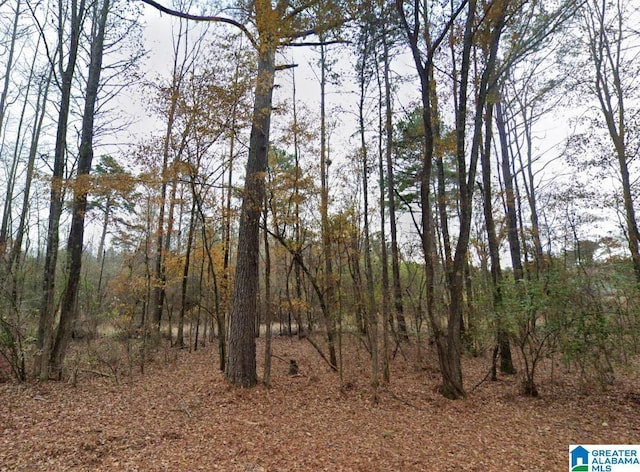 Listing photo 3 for 1991 Watts Rd -, Unit Munford AL 36268