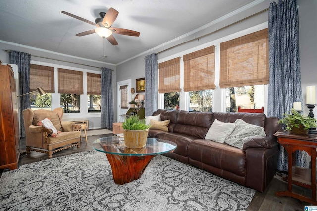 living room featuring crown molding, ceiling fan, wood-type flooring, and a wealth of natural light