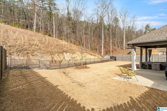 view of yard with a patio area