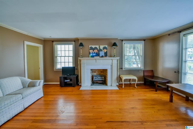 living room with crown molding and light wood-type flooring