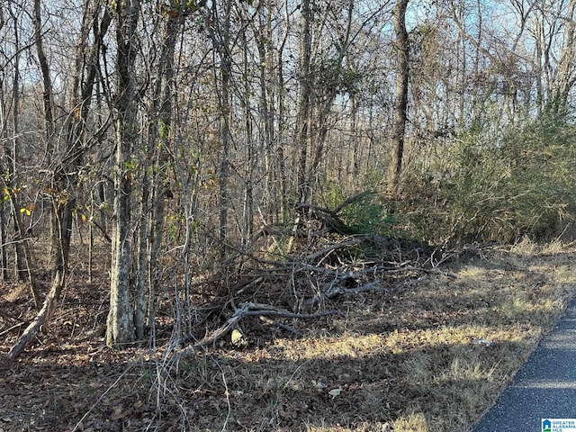 Listing photo 2 for 0 Broken Arrow Creek Rd Unit 0, Riverside AL 35135