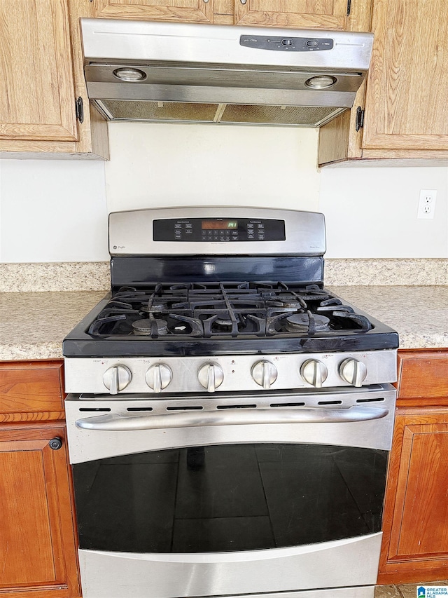 room details with gas range and exhaust hood