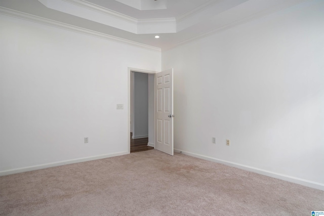 spare room with crown molding, light colored carpet, and a raised ceiling