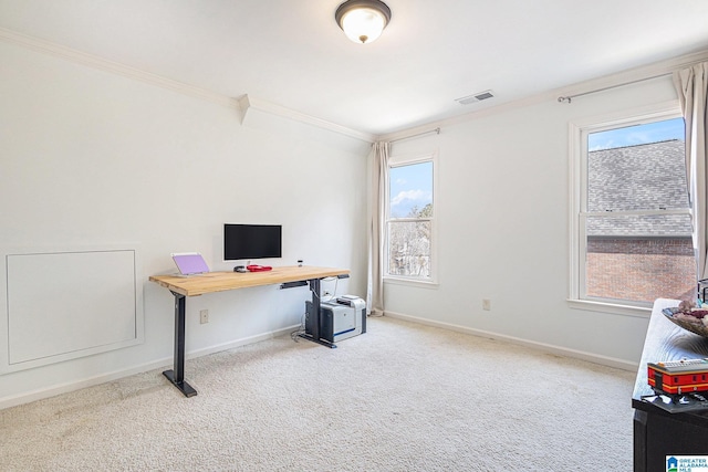 carpeted home office featuring ornamental molding and a wealth of natural light