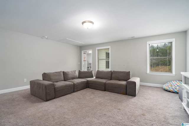 living room with carpet flooring