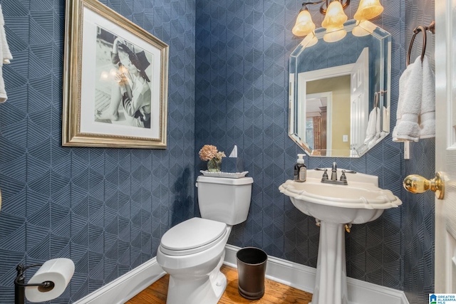 bathroom with hardwood / wood-style floors and toilet