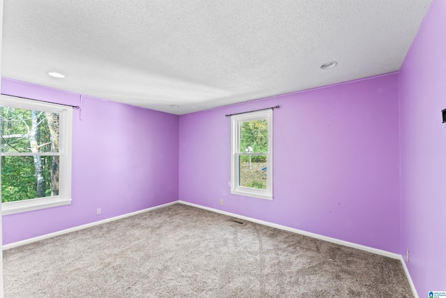 unfurnished room with a textured ceiling and carpet flooring