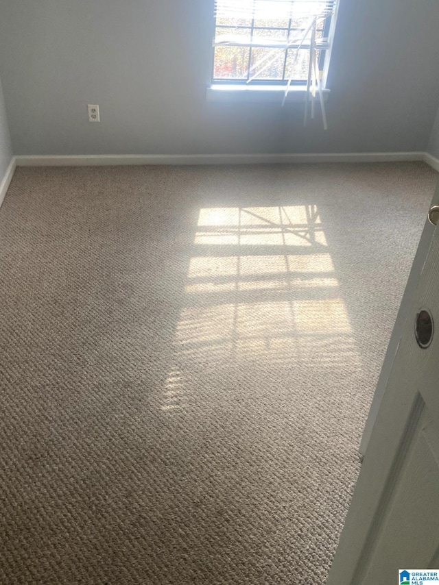 interior details featuring carpet flooring