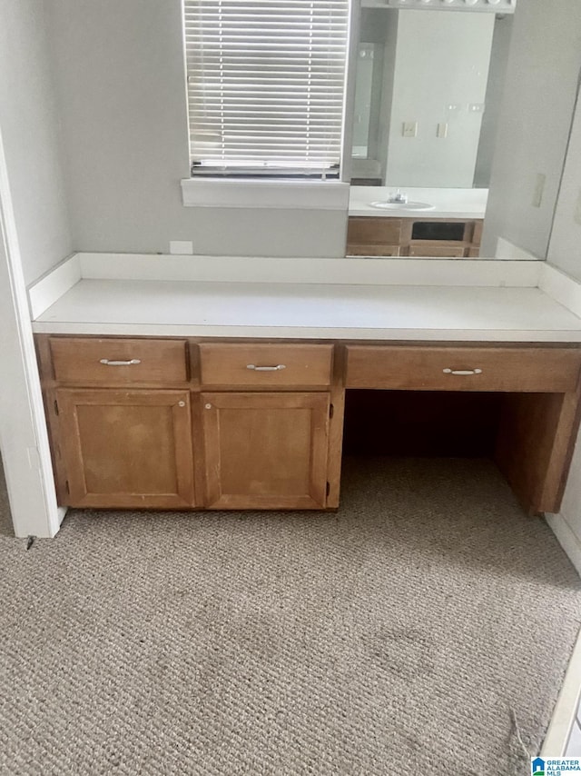 bathroom with sink