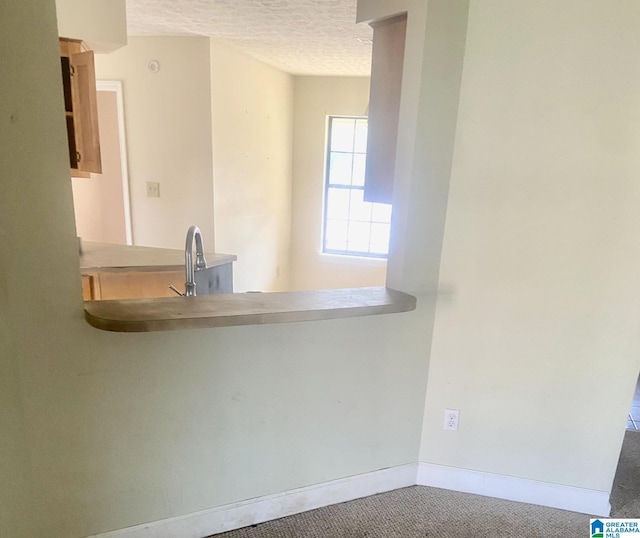 kitchen featuring sink, a textured ceiling, and carpet flooring