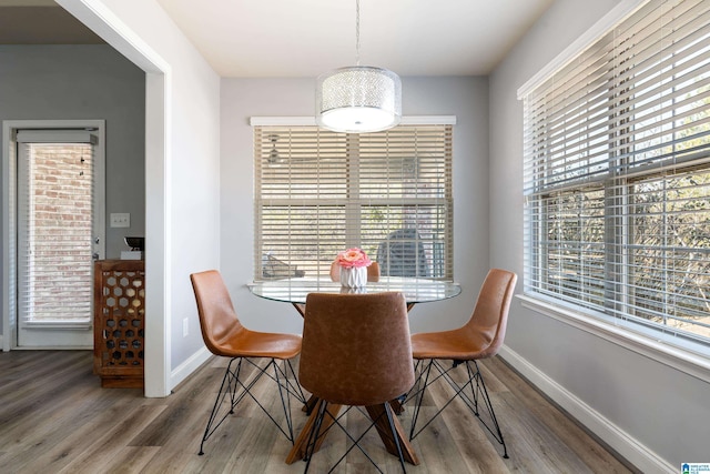 dining space featuring plenty of natural light and hardwood / wood-style floors