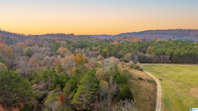 property view of mountains