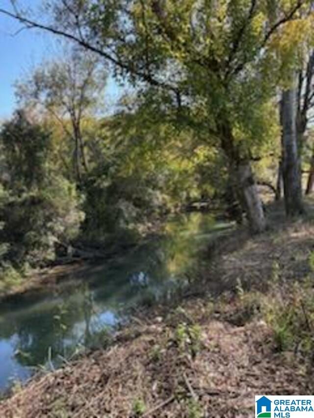 view of local wilderness with a water view