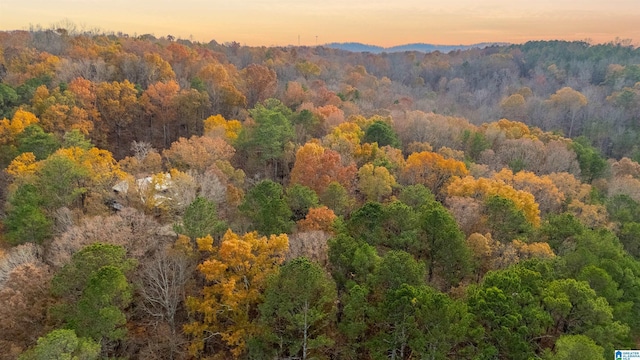 view of aerial view at dusk