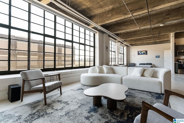 living room featuring concrete flooring