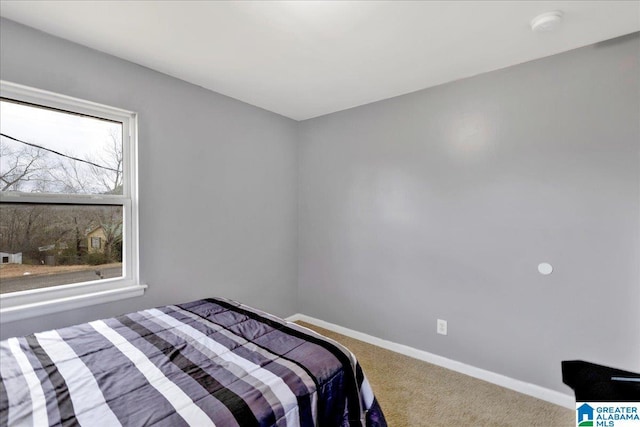 bedroom with carpet floors