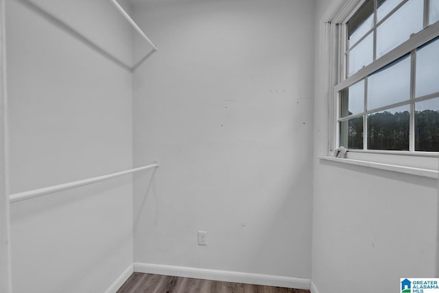 spacious closet featuring wood-type flooring