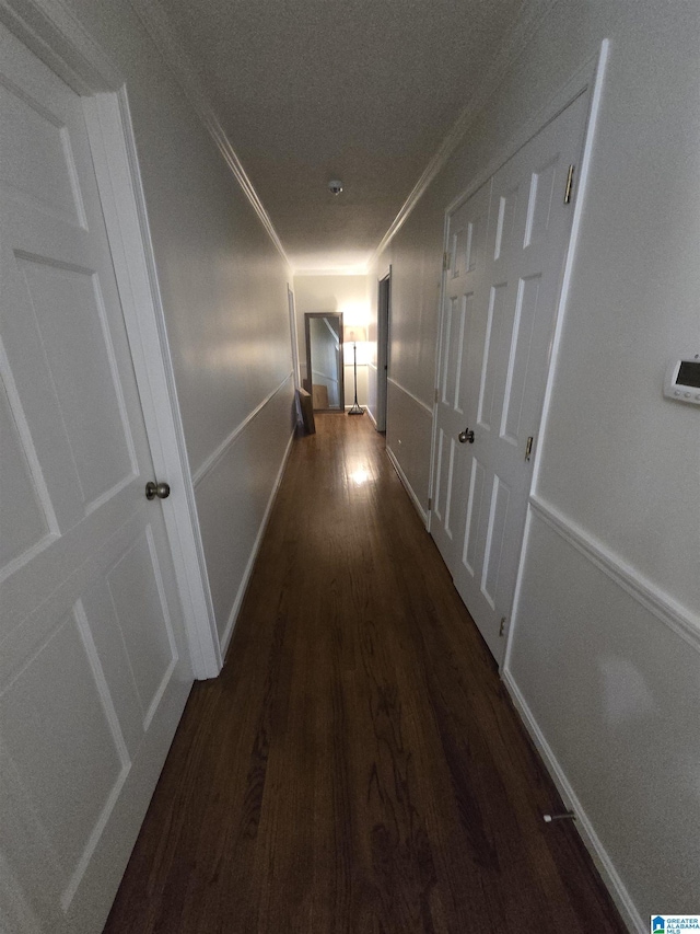 corridor with crown molding and dark wood-type flooring