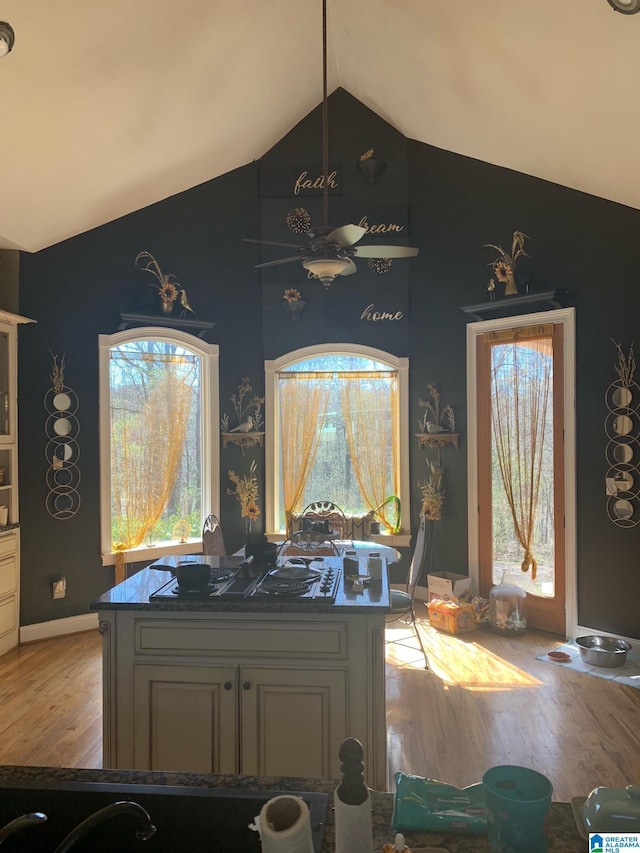 details featuring hardwood / wood-style floors and ceiling fan